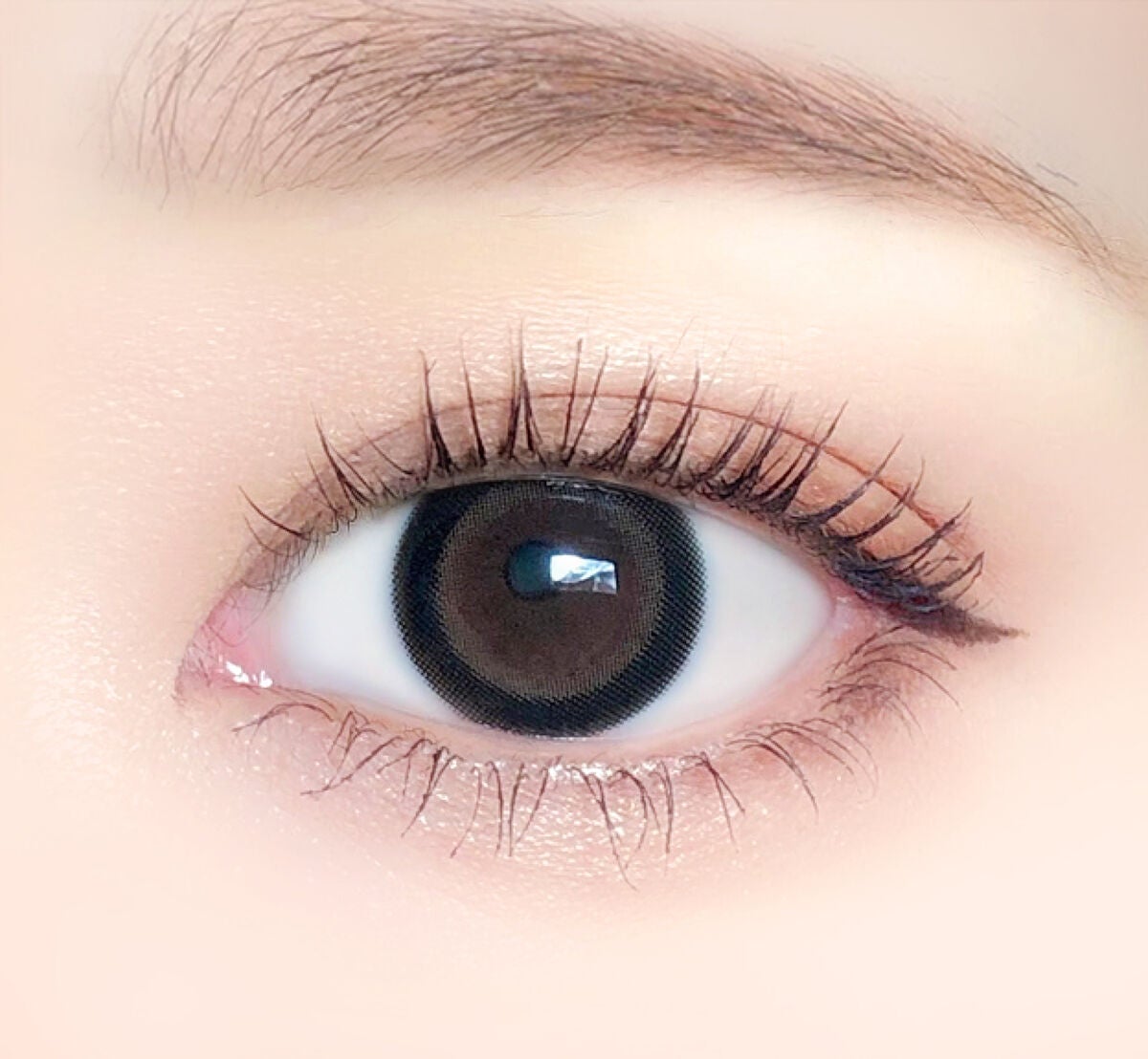 エバーカラーワンデーミリモア あまえんぼカカオ