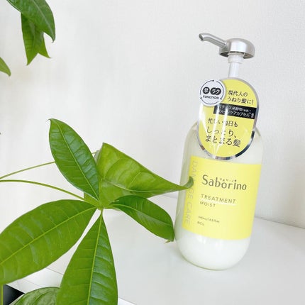 ハヤラクシャンプー モイスト/トリートメント モイスト/サボリーノ/市販シャンプーを使ったクチコミ(4枚目)