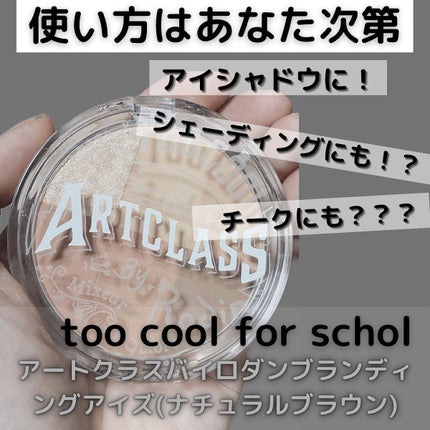 ARTICLASS BLENDING EYES/too cool for school/アイシャドウパレットを使ったクチコミ(1枚目)