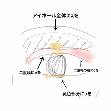 パーフェクトマルチアイズ/キャンメイク/アイシャドウパレットを使ったクチコミ（2枚目）