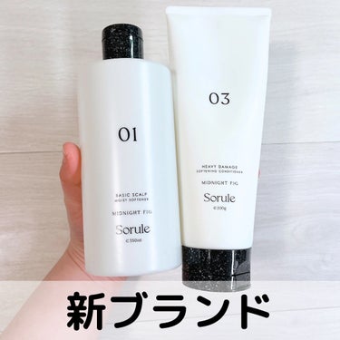 モイストソフナー 01ベーシックスカルプ 350ml/Sorule/シャンプー・コンディショナーを使ったクチコミ（1枚目）