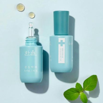 ミント トラブルスポットジェル/HANYUL(ハンユル)/美容液を使ったクチコミ(2枚目)