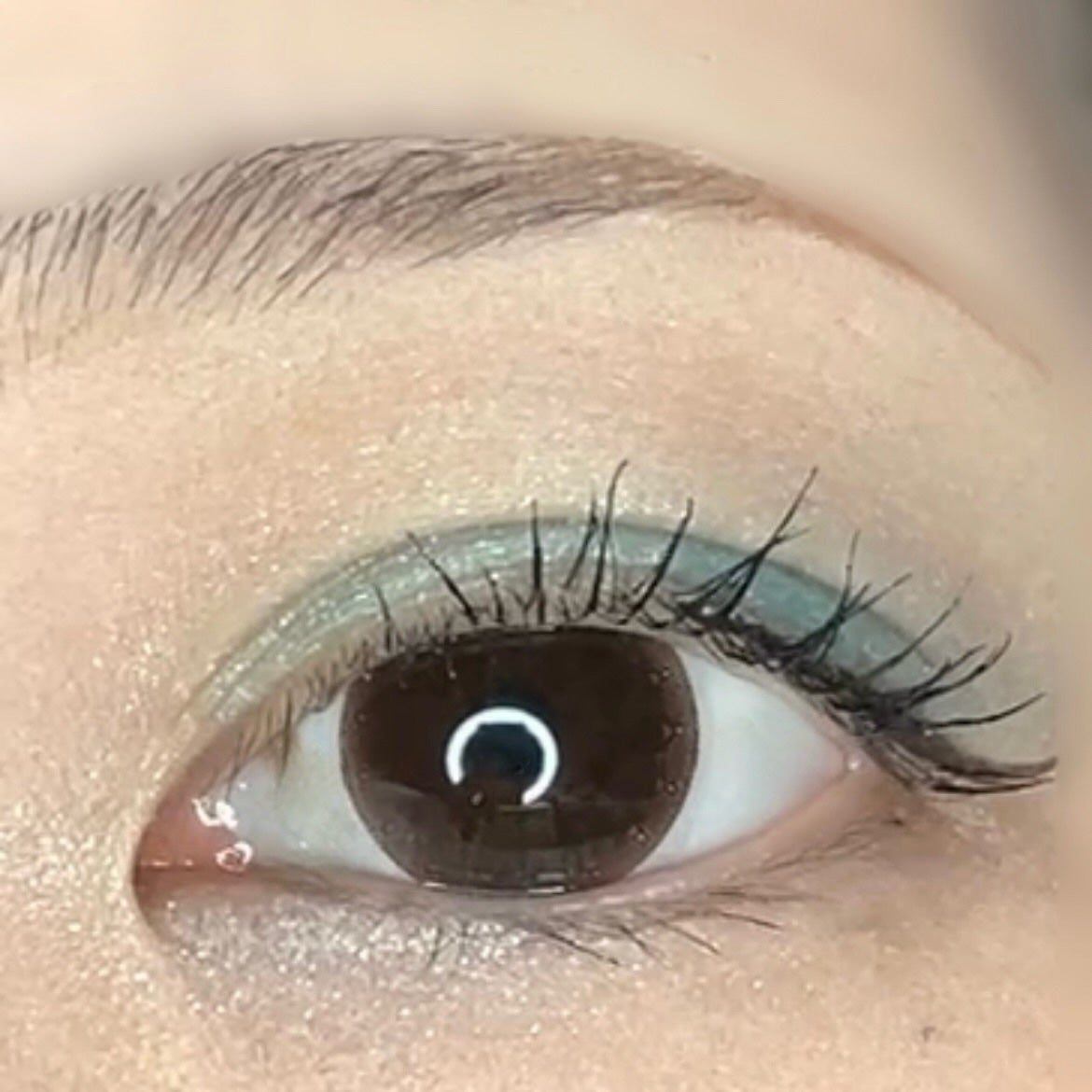 イメージ「マヤ」 アイシャドウパレット/ZEESEA/アイシャドウパレットを使ったクチコミ(8枚目)