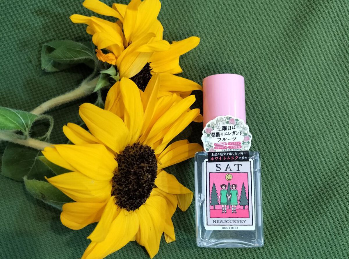 ボディミスト/NEWJOURNEY/香水(その他)を使ったクチコミ（1枚目）