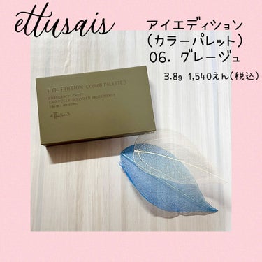 アイエディション(カラーパレット)/ettusais/アイシャドウパレットを使ったクチコミ（1枚目）