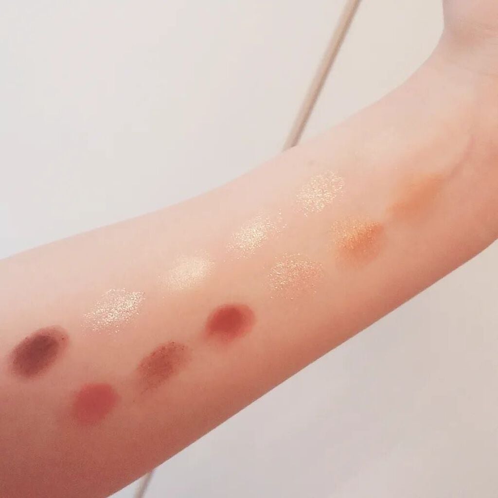 エクスプローラ12色 動物アイシャドウパレット/PERFECT DIARY/アイシャドウパレットを使ったクチコミ(4枚目)