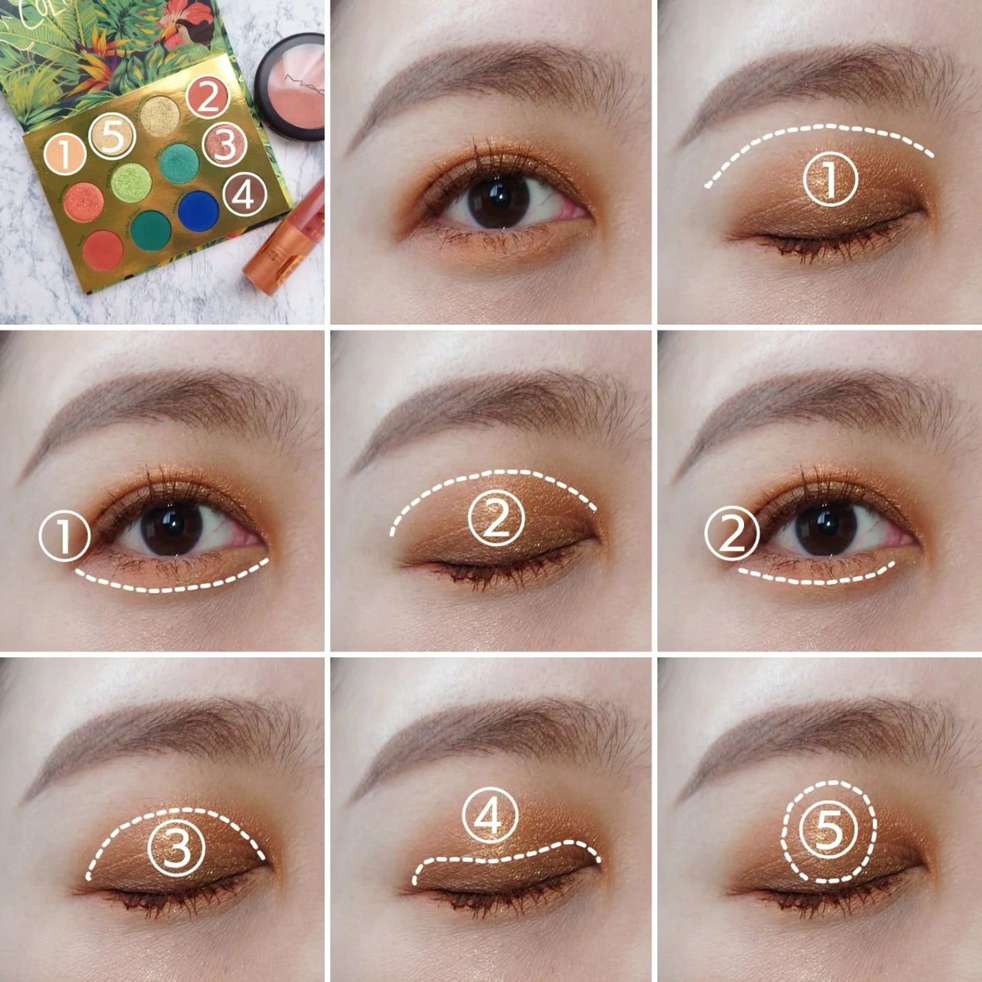 ラッシュライフ/ColourPop/アイシャドウパレットを使ったクチコミ(4枚目)