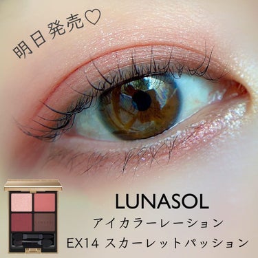 アイカラーレーション EX14（限定発売）/LUNASOL/パウダーアイシャドウを使ったクチコミ（1枚目）