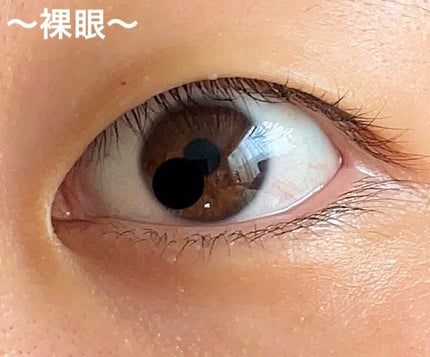 Aery Rose/chuu LENS/ワンデー(1DAY)カラコンを使ったクチコミ(8枚目)