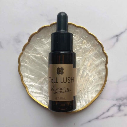 ヒト幹細胞配合美容液/セルラッシュ/美容液を使ったクチコミ(3枚目)