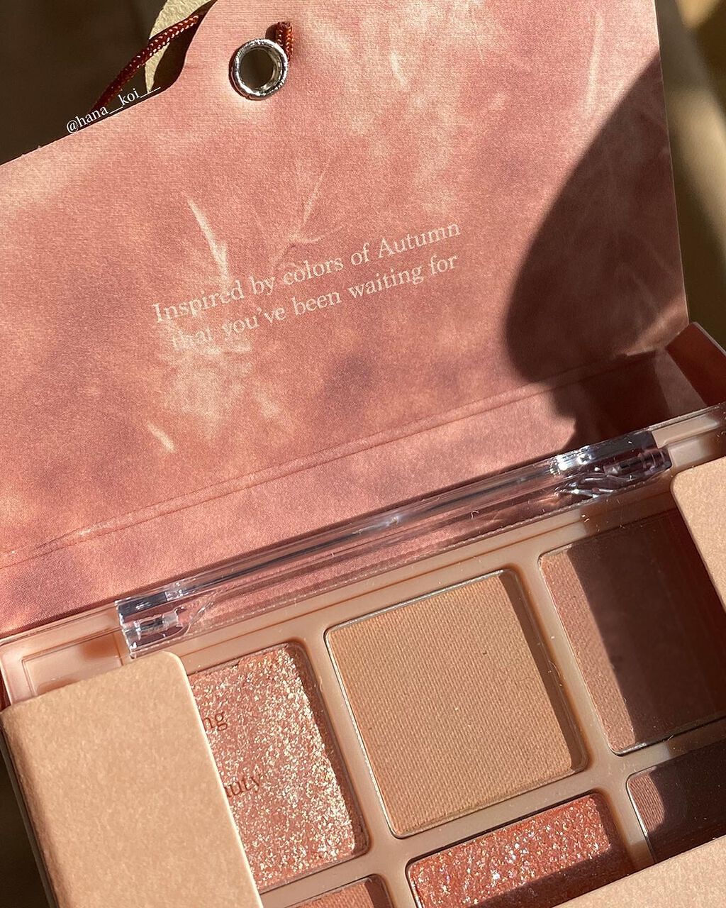 シャドウパレット/dasique/アイシャドウパレットを使ったクチコミ(3枚目)