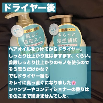シャンプー/トリートメント SR/CLAYGE/市販シャンプーを使ったクチコミ(5枚目)