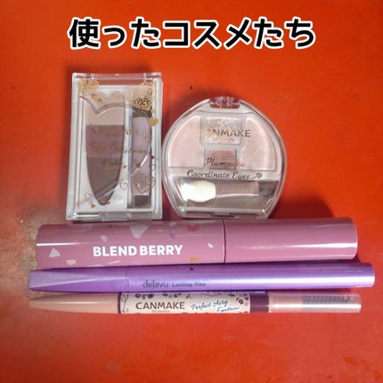 「密着アイライナー」ショート筆リキッド/デジャヴュ/リキッドアイライナーを使ったクチコミ(7枚目)