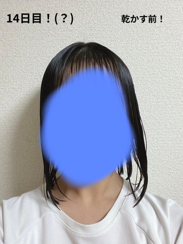 ヘアアクセルレーター レモンライムの香り/加美乃素本舗/頭皮ケアを使ったクチコミ（2枚目）