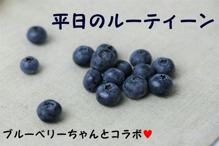 自己紹介/雑談/その他を使ったクチコミ(1枚目)