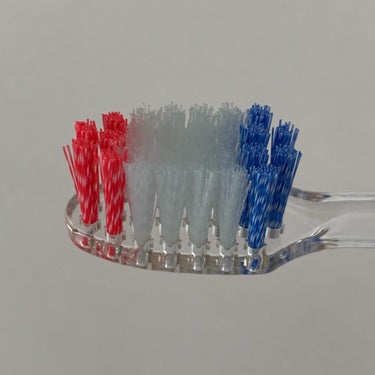 プログリップハブラシ　typeⅠ/エビス/歯ブラシを使ったクチコミ（6枚目）