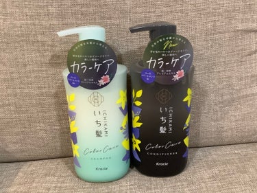 カラーケア&ベーストリートメント in シャンプー/コンディショナー/いち髪/シャンプー・コンディショナーを使ったクチコミ（1枚目）