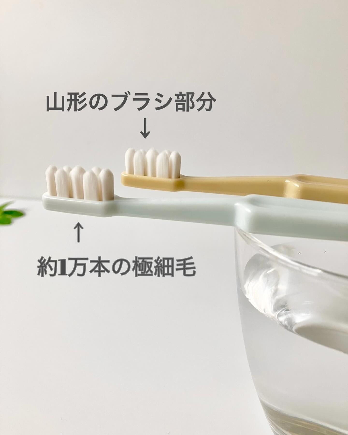 CELL KEEP セルキープ/セラ/歯ブラシを使ったクチコミ（2枚目）