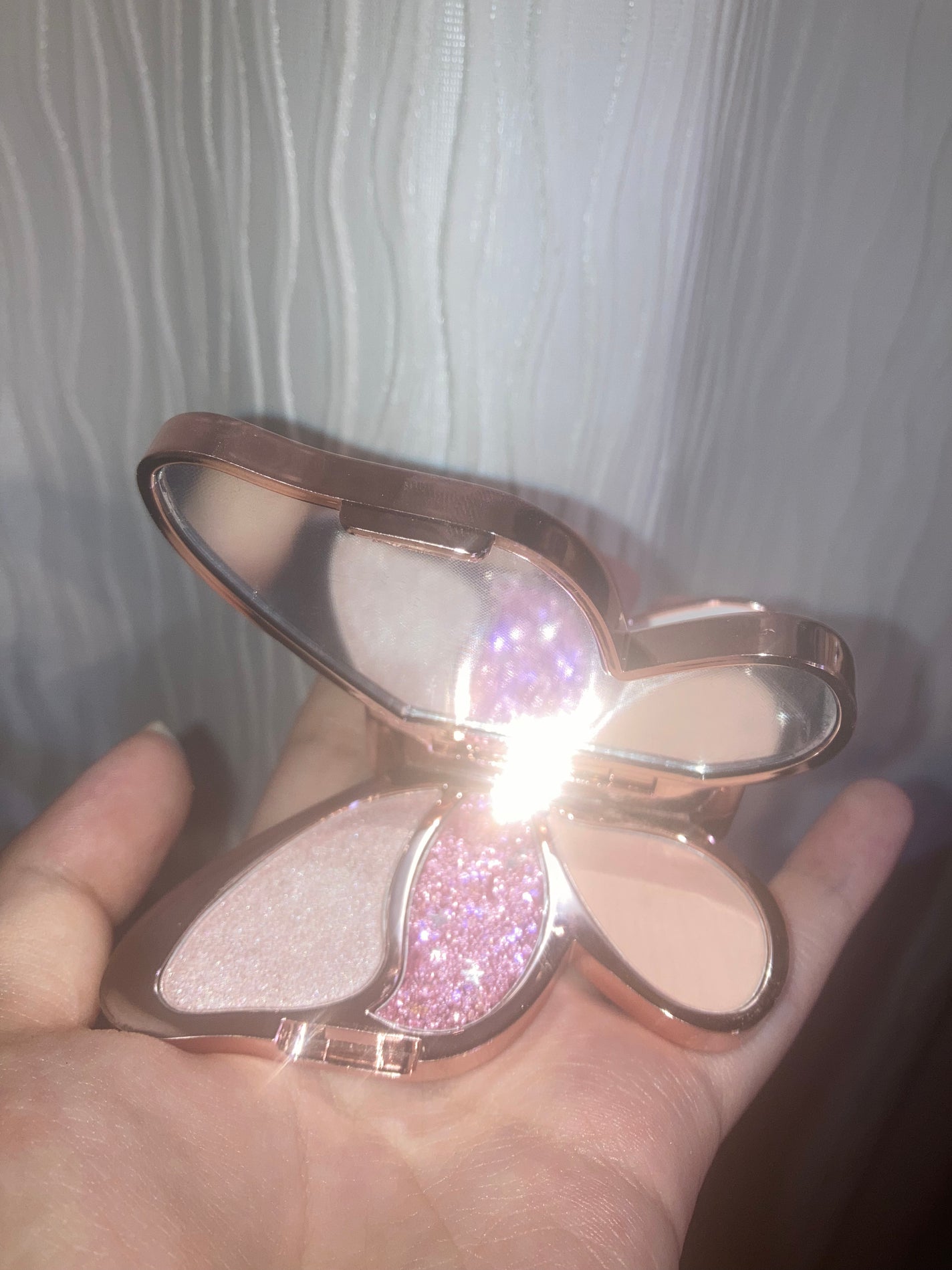 バタフライアイシャドウパレット/AGAG/アイシャドウパレットを使ったクチコミ(2枚目)