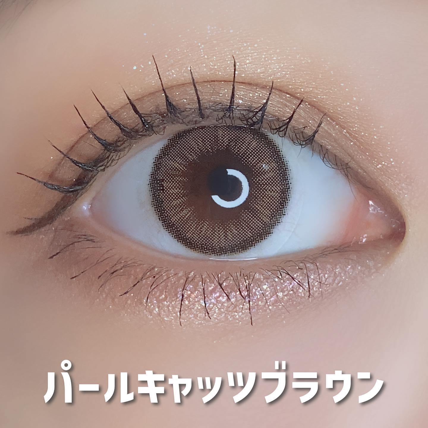 アトリエ・パールキャッツブラウン/トリカ/カラーコンタクトレンズを使ったクチコミ（2枚目）