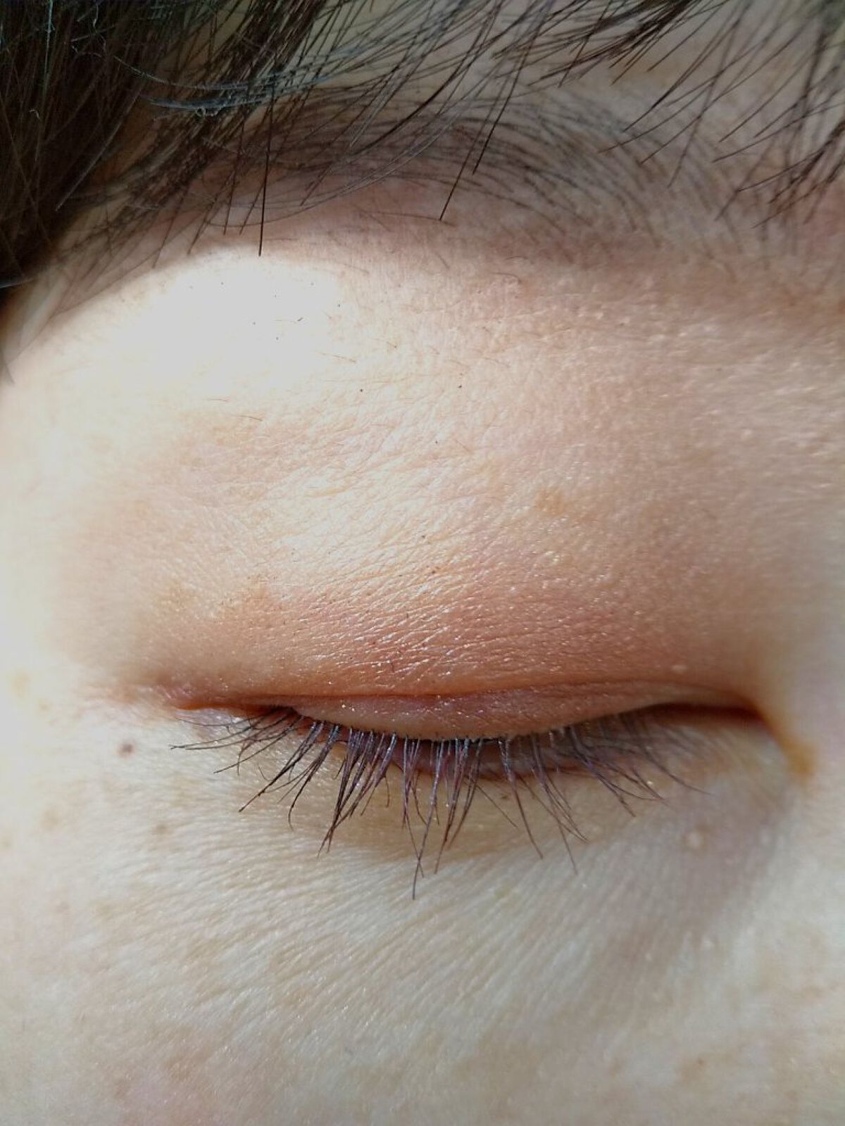 トーンアップアイシャドウ/CEZANNE/アイシャドウパレットを使ったクチコミ（2枚目）