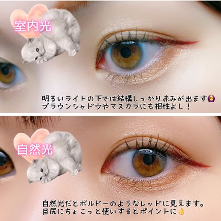 エブリユー リキッドアイライナー/EVERYYOU/リキッドアイライナーを使ったクチコミ(4枚目)