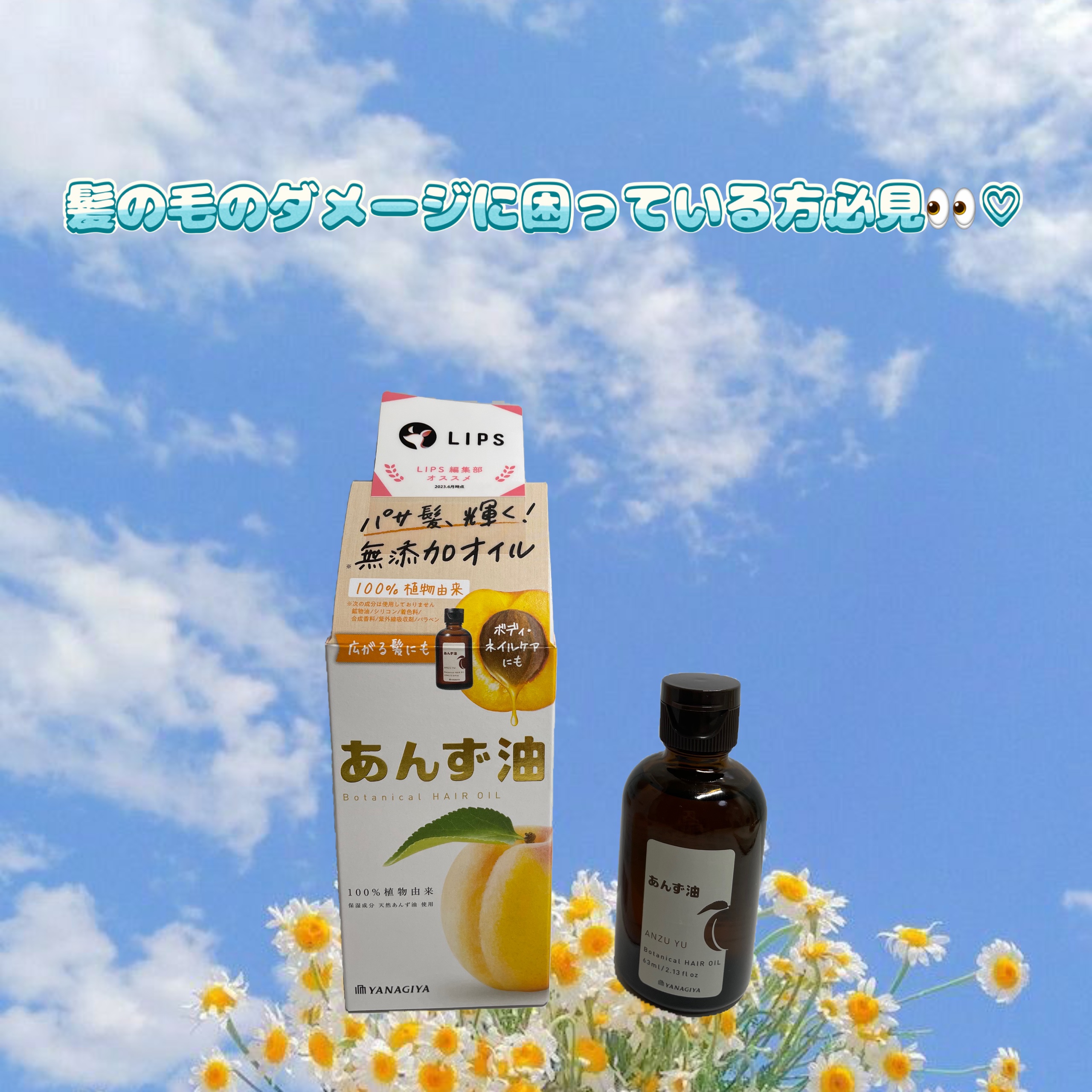 柳屋　あんず油/柳屋あんず油/ヘアオイルを使ったクチコミ（1枚目）