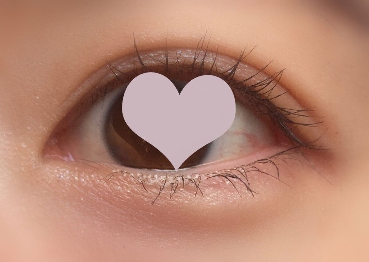 ブライトフューチャーボックス/KANEBO/単色アイシャドウを使ったクチコミ（1枚目）