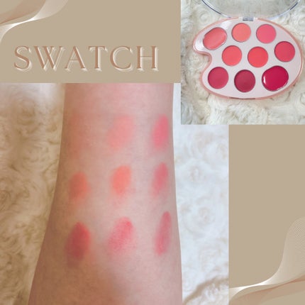 ムードペインティングリップアンドチークパレット/dasique/マルチパレットを使ったクチコミ(3枚目)