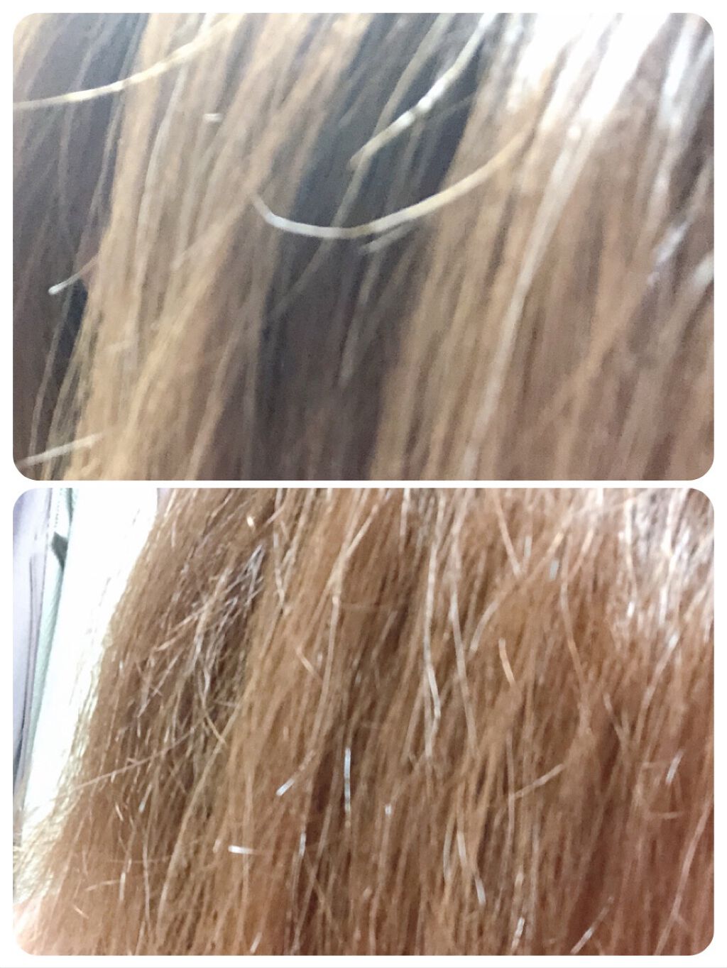 プレミアムリペアマスク（資生堂　プレミアムリペアマスク）/TSUBAKI/ヘアマスク・ヘアパックを使ったクチコミ（3枚目）