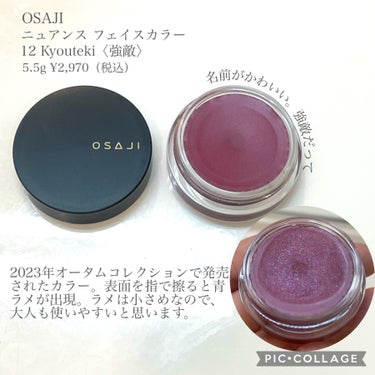 OSAJI ニュアンス フェイスカラーのクチコミ「最近やたらと気になるぶどうぶどう色
しかも青色ラメ入り

マルチユースで使い勝手が良さそうだっ.....」（2枚目）