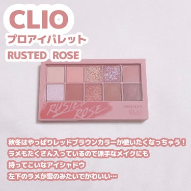 プロ アイ パレット/CLIO/アイシャドウパレットを使ったクチコミ（5枚目）