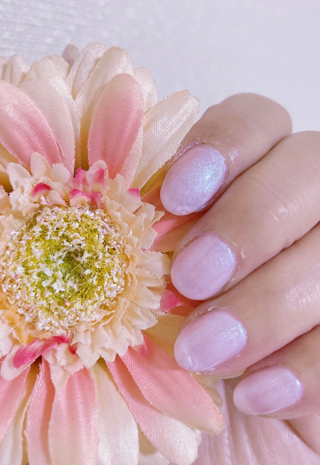 ネイルカラー/ANNA SUI/マニキュアを使ったクチコミ(2枚目)