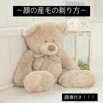 プレミア敏感肌用 Lディスポ/シック/シェーバーを使ったクチコミ(1枚目)