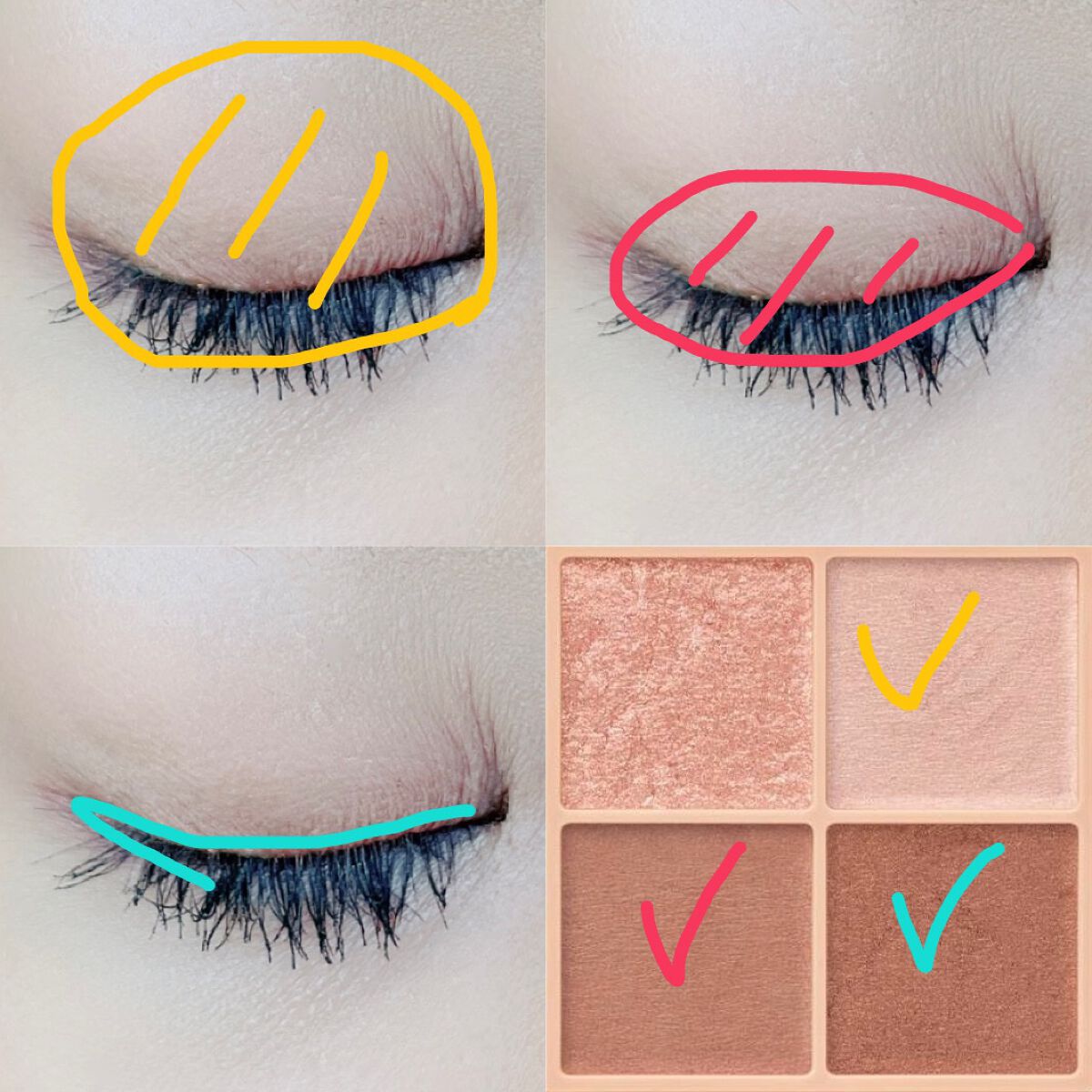 ベージュトーンアイシャドウ/CEZANNE/アイシャドウパレットを使ったクチコミ（2枚目）