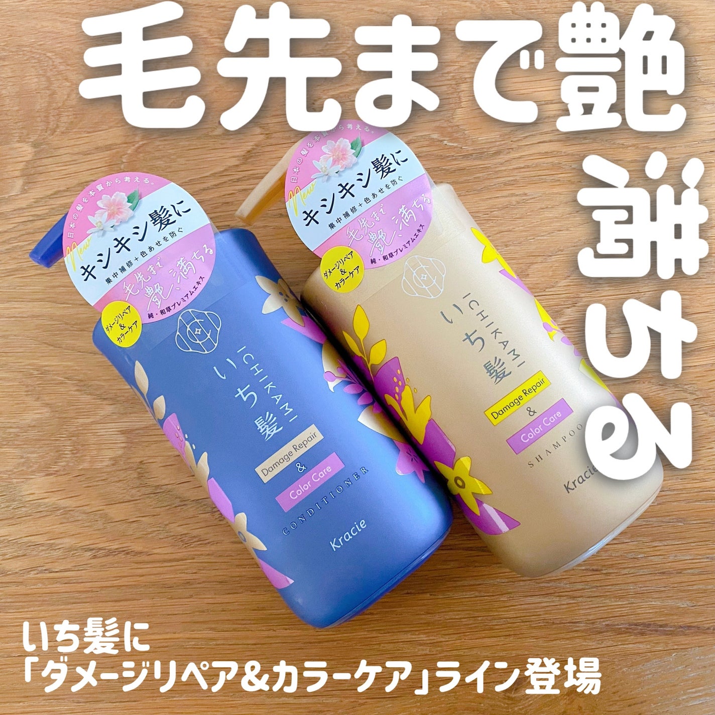 ãã¡ãŒãžãªãã¢ïŒã«ã©ãŒã±ã¢ ã·ã£ã³ããŒ/ã³ã³ãã£ã·ã§ããŒ/ãã¡é«ª/åžè²©ã·ã£ã³ããŒã䜿ã£ãã¯ãã³ãïŒ1æç®ïŒ