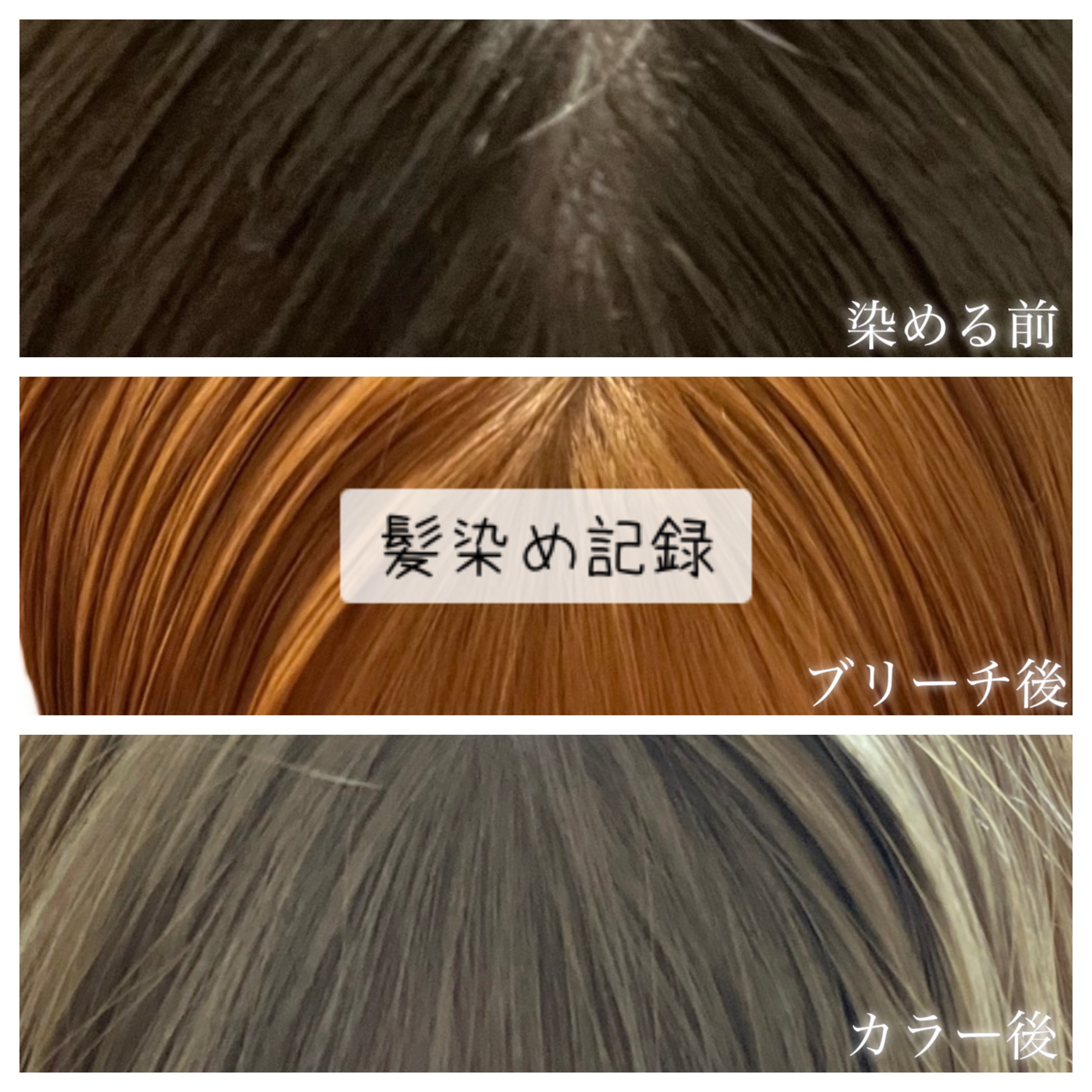 ボンディング・メタリックス/got2b/ヘアカラーを使ったクチコミ（1枚目）