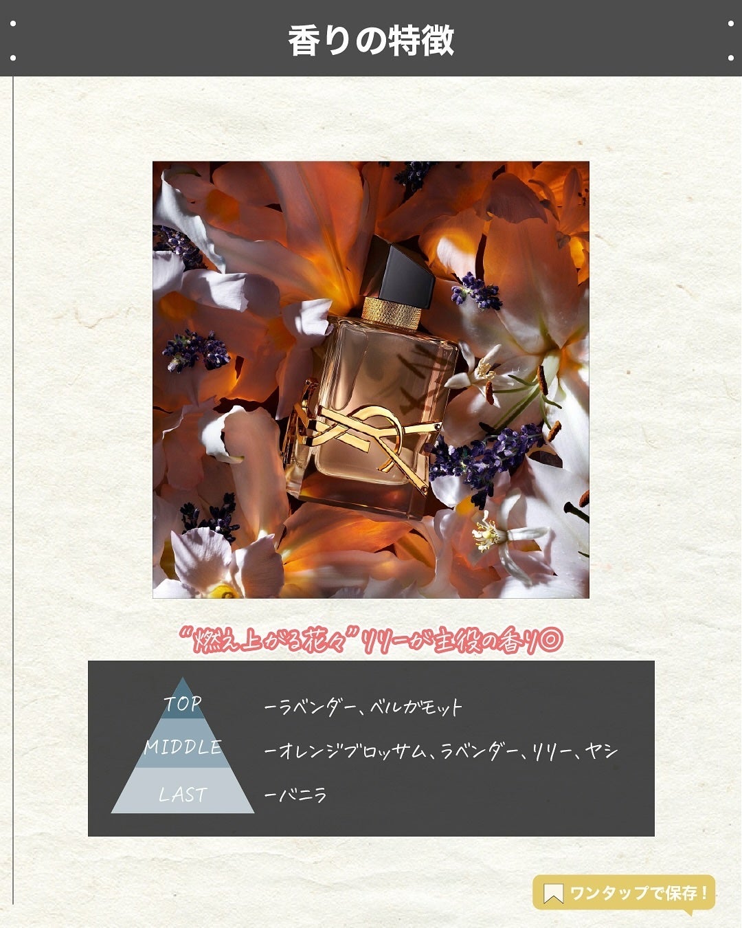 エスログ┊1日1分のモテ香水紹介 on LIPS 「.『冬限定新作香水』🌳製品情報🌳YvesSaintLauren..」(3枚目)