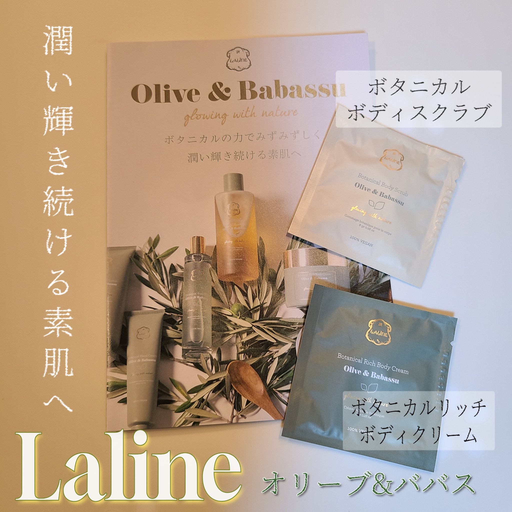 オリーブ＆ババス ボタニカル リッチボディクリーム/Laline/ボディクリームを使ったクチコミ（1枚目）