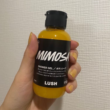 LUSH まごころ