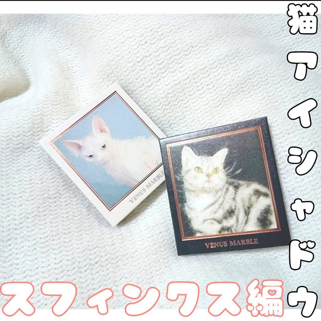 Venus Marble アイシャドウキャットシリーズ/Venus Marble/アイシャドウパレットを使ったクチコミ(1枚目)