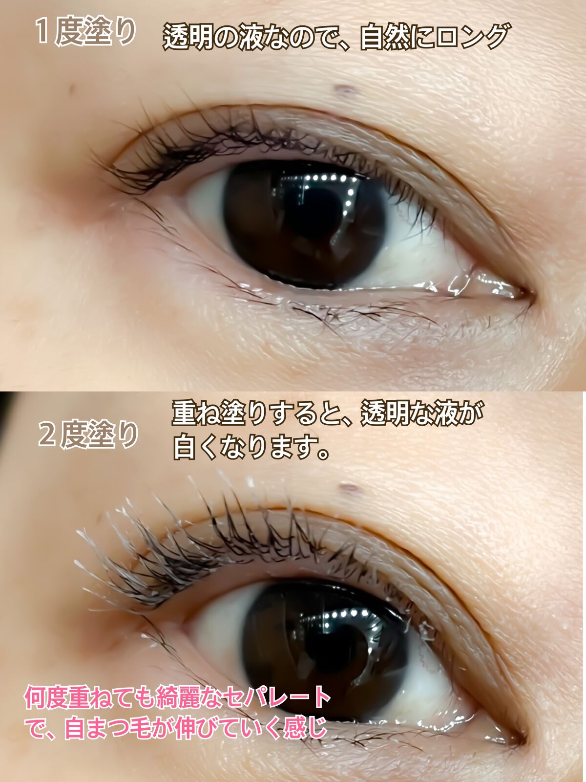 マジョリカ マジョルカ ラッシュボーン ブラックファイバーイン 6g