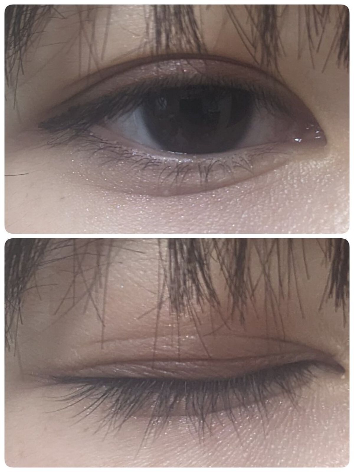 フーミー アイシャドウパレット/WHOMEE/アイシャドウパレットを使ったクチコミ（3枚目）