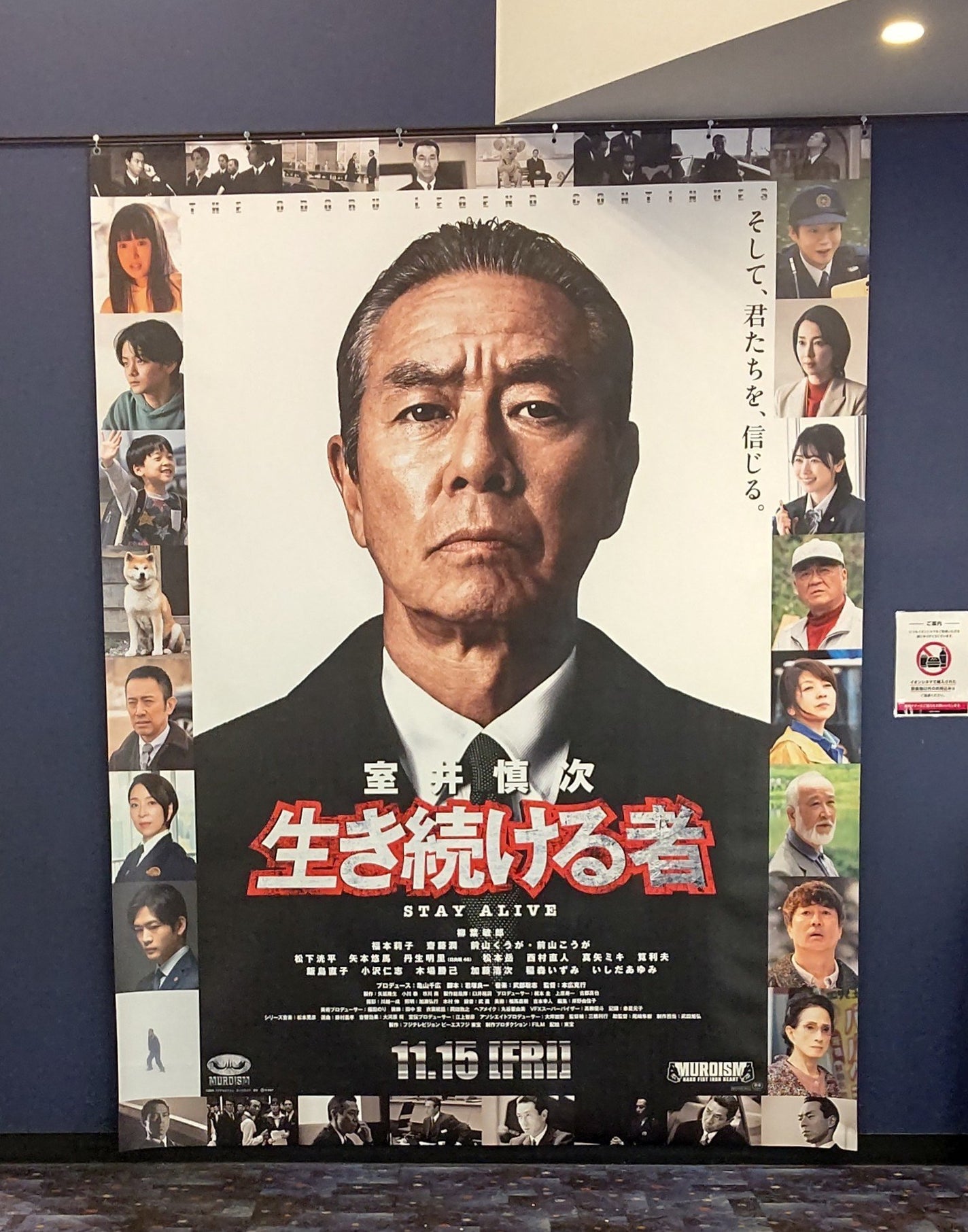 パールグロウハイライト/CEZANNE/パウダーハイライトを使ったクチコミ(6枚目)