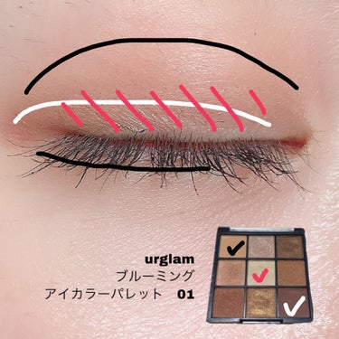 UR GLAM　BLOOMING EYE COLOR PALETTE/U R GLAM/アイシャドウパレットを使ったクチコミ（2枚目）