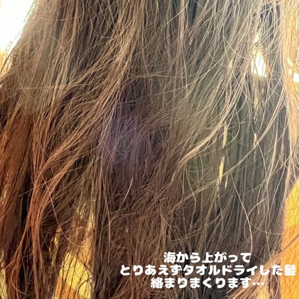 プルント リライト美容液ヘアミルク/Purunt./ヘアミルクを使ったクチコミ(3枚目)