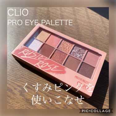 CLIO プロ アイ パレット
5号 ラステッドローズ


プロアイパレット信者のわたし、2個目に手を出しました。

最初に購入したのはストリートブリック。
テラコッタ系のカラー盛りだくさんの神パレット