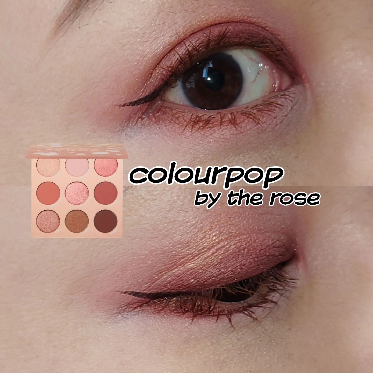 by the rose/ColourPop/アイシャドウパレットを使ったクチコミ（1枚目）