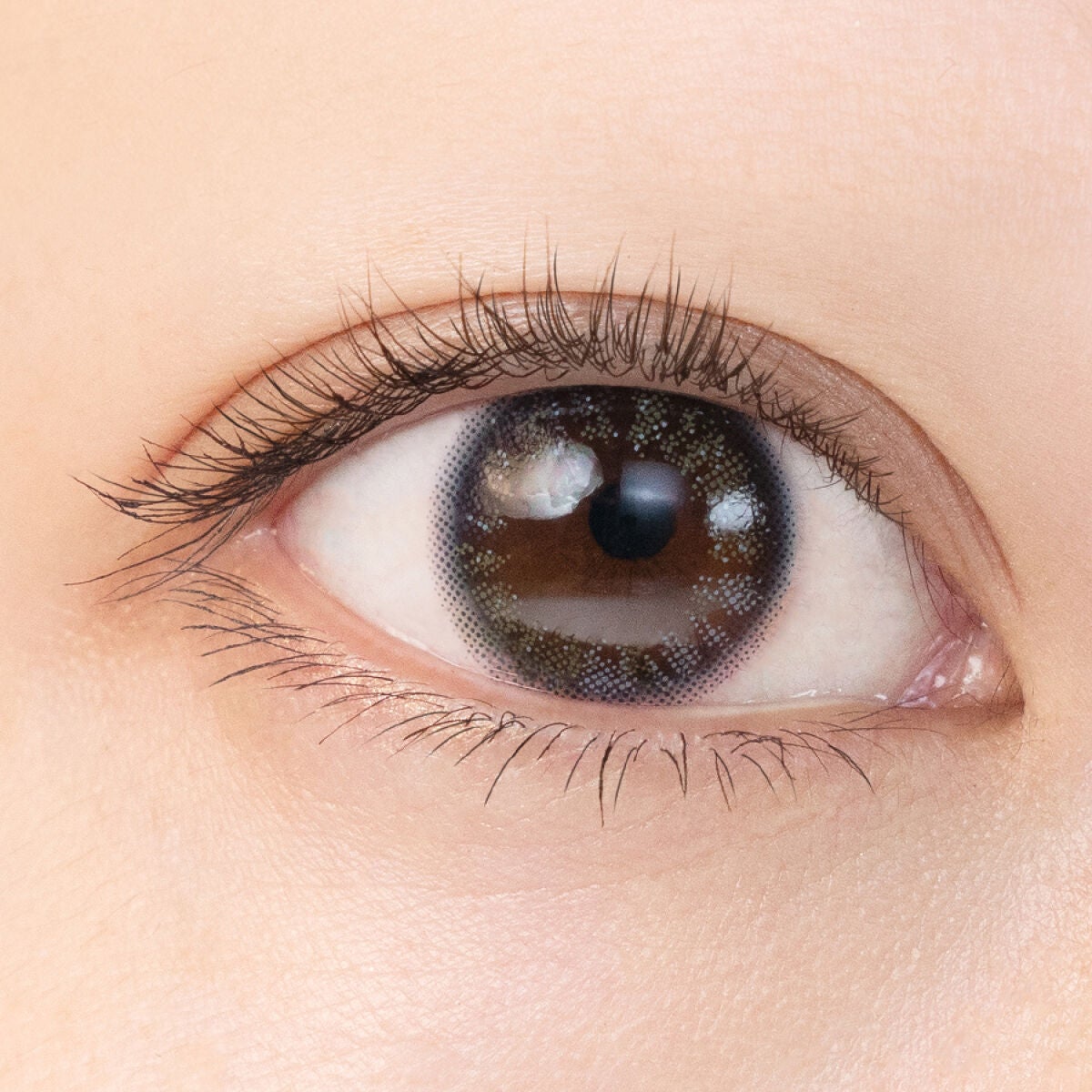 OvE(オヴィ) 1day OvE 3