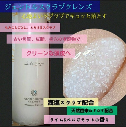 ジェントル スクラブ クレンズ/ines/市販シャンプーを使ったクチコミ(3枚目)